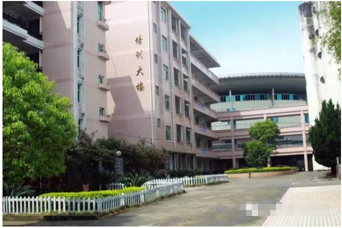 實訓實習