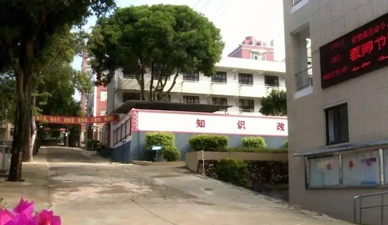 實訓實習