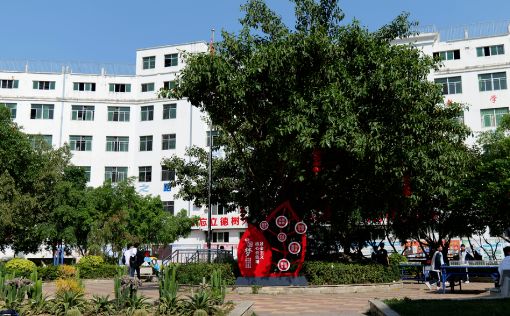 校園環(huán)境
