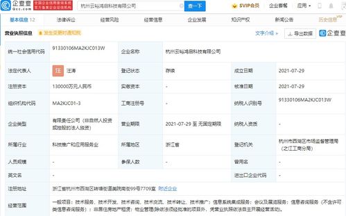 螞蟻集團成立云裕鴻啟科技，13億加碼信息系統(tǒng)集成服務