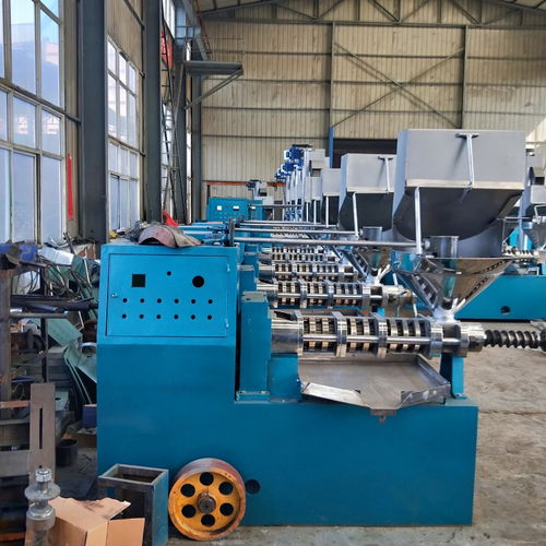 深圳榨油機廠家制造的建筑機械設備 精工品質，引領行業創新