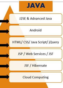 關(guān)于大學(xué)軟件工程 外包 分方向的問(wèn)題